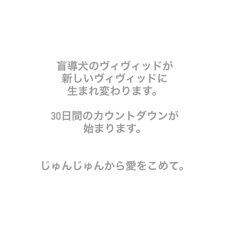 ヴィヴィッド引退日記スタート