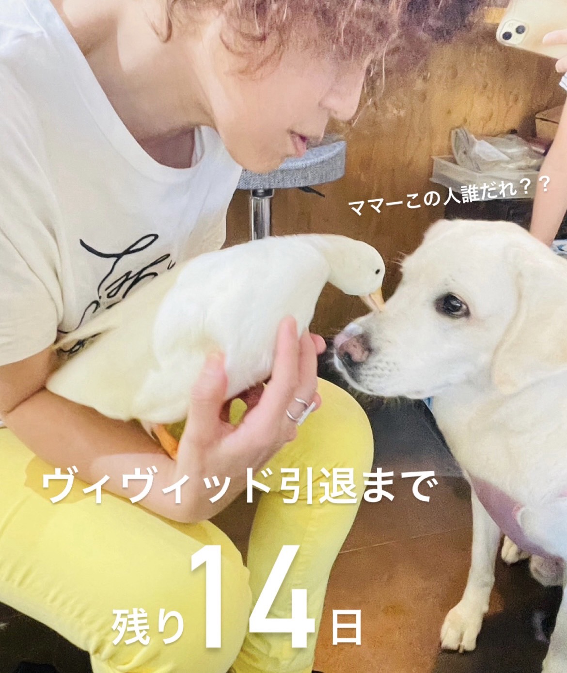 アヒルと戯れるヴィヴィッド