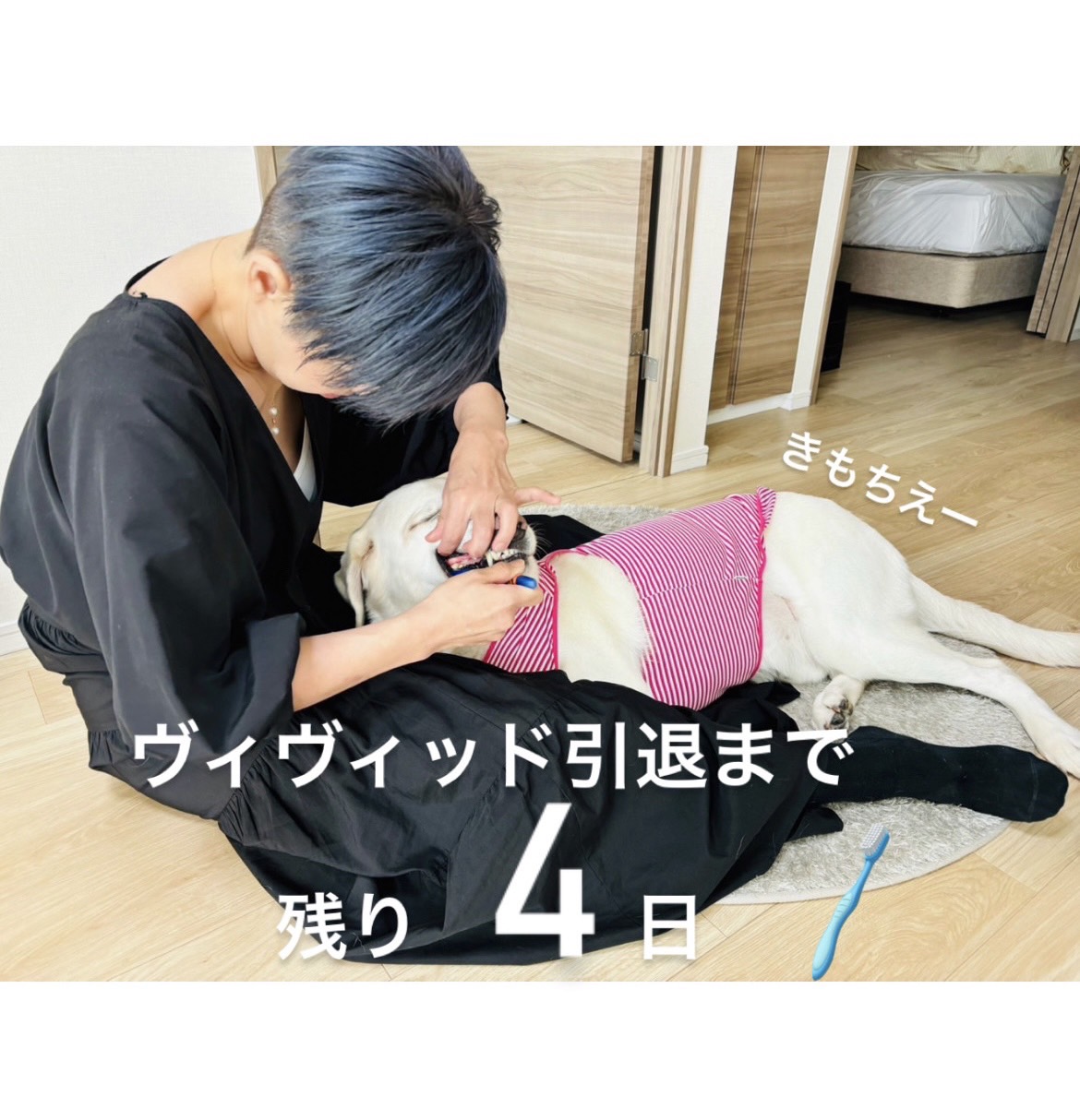 歯磨き中のヴィヴィッド