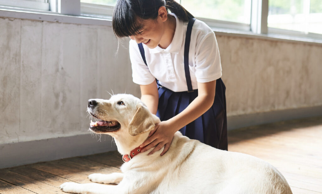 生徒に触れられて喜ぶスクールドッグ